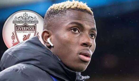 世界杯诞生3个死亡之组！同组4队实力相近：荷兰vs日本，争夺头名